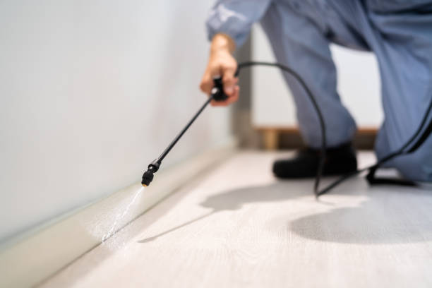 Licensed Cockroach Control service in Cerro Gordo, IL - Nex Pest Control