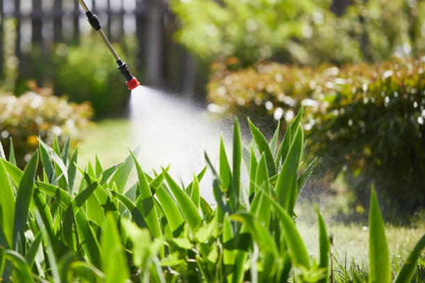 24/7 Emergency Cockroach Control experts in Cerro Gordo, IL