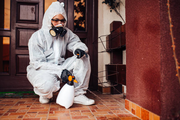 Reliable Cockroach Control contractor in Cerro Gordo, IL by Nex Pest Control