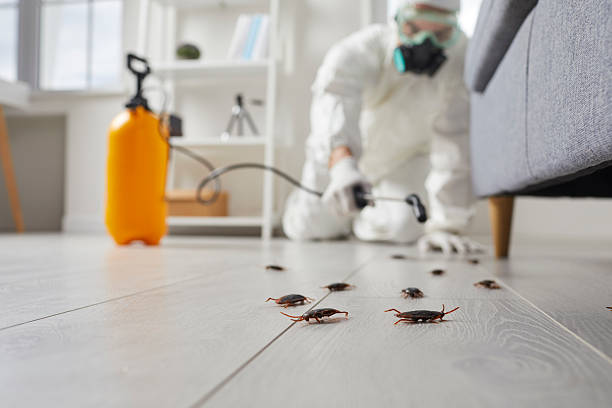 Trusted Termite Control service in Cerro Gordo, IL - Nex Pest Control