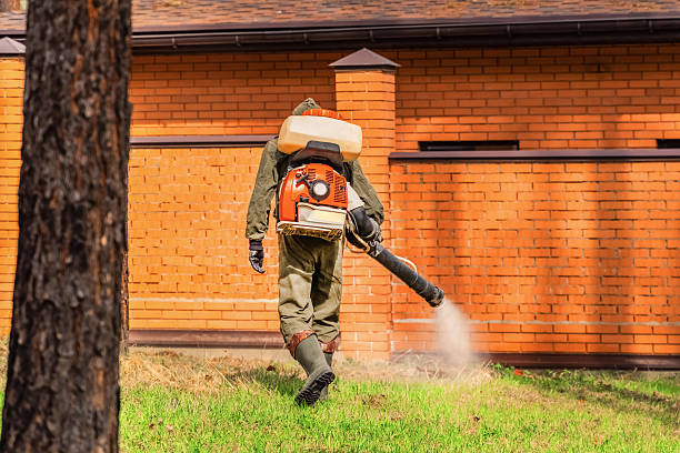 Trusted Ant Control service in Cerro Gordo, IL - Nex Pest Control